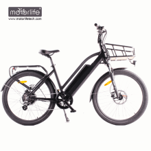 BAFANG mittleres elektrisches Fahrrad des Fahrrades 36v350w der Stadt elektrisches Fahrrad, bestes e-Fahrrad